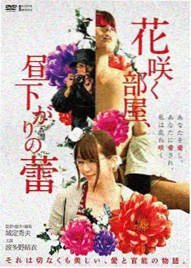 石狮影视论坛幕后报道灯塔下的信灯光方案